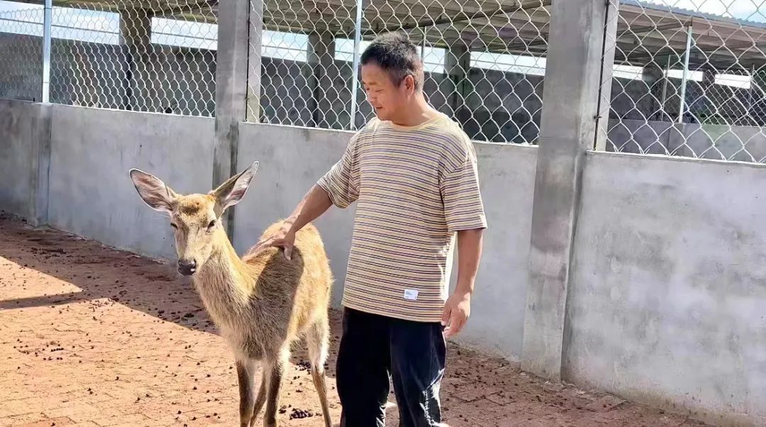 银河手机版下载